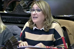 La diputada socialista Mónica Fein esta tarde en el recinto