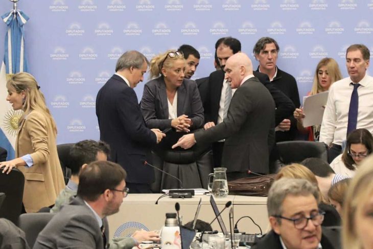 La ley Bases consigui&oacute; su dictamen en el plenario de comisiones.