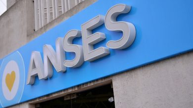 Anses