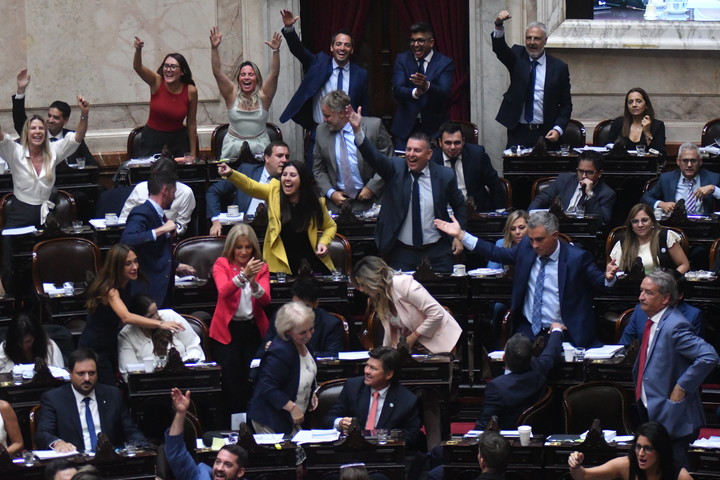 El oficialismo pudo bloquear los intentos del peronismo de bloquear la sesión. Foto: Federico López Claro.